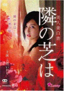 精灵宝可梦 超梦的逆袭